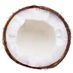 coconut