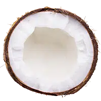 coconut