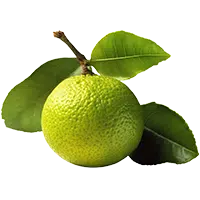 monk fruit