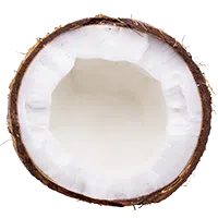 coconut