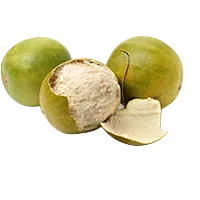 monk fruit