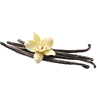 vanilla